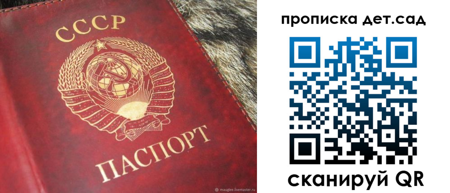регистрация для школы в Находке
